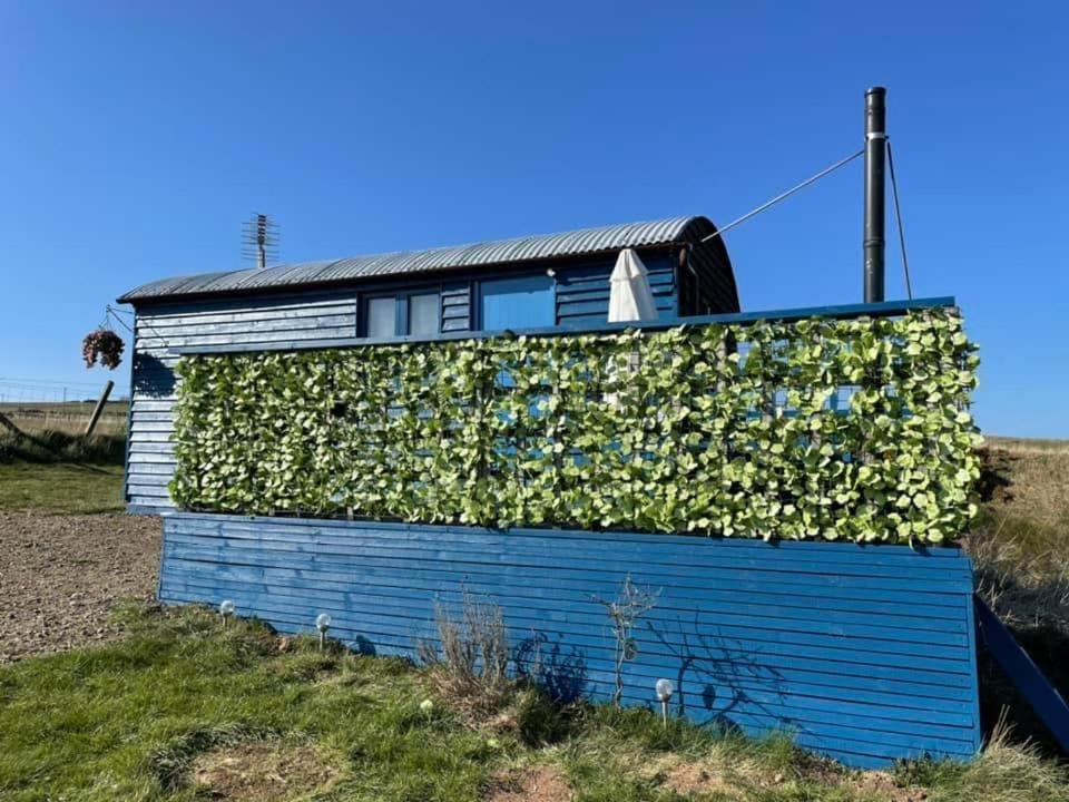 Hut with hot tub in Aberdeenshire. Villa Gamrie Buitenkant foto